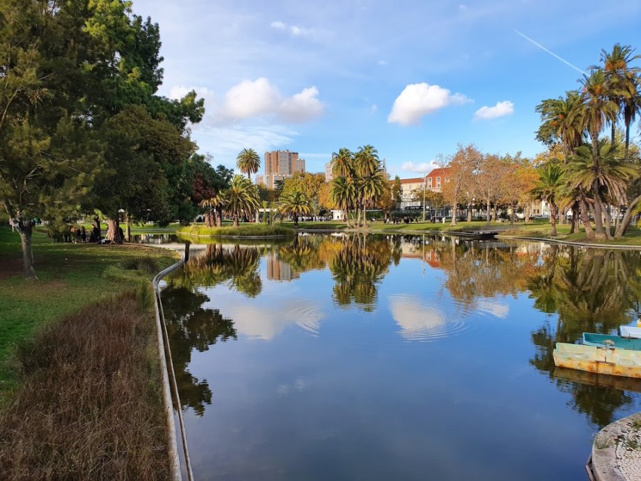 Jardim do Campo Grande - Foto 7