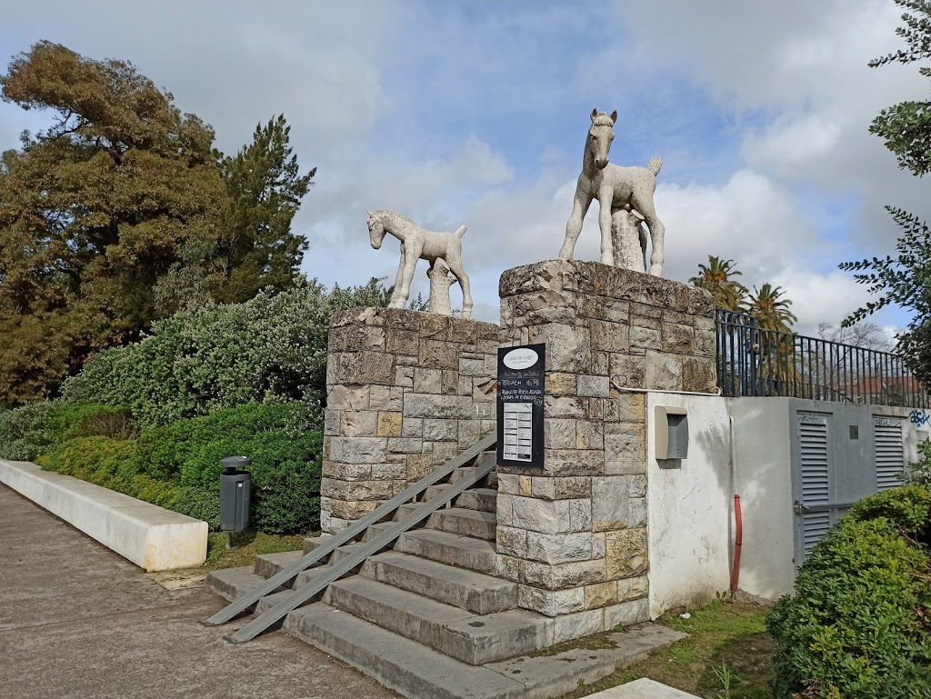 Jardim do Campo Grande - Foto 1