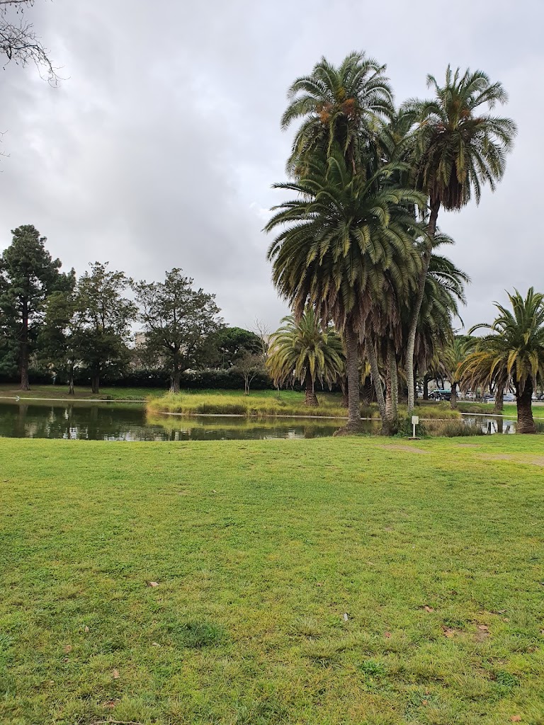 Jardim do Campo Grande - Foto 13