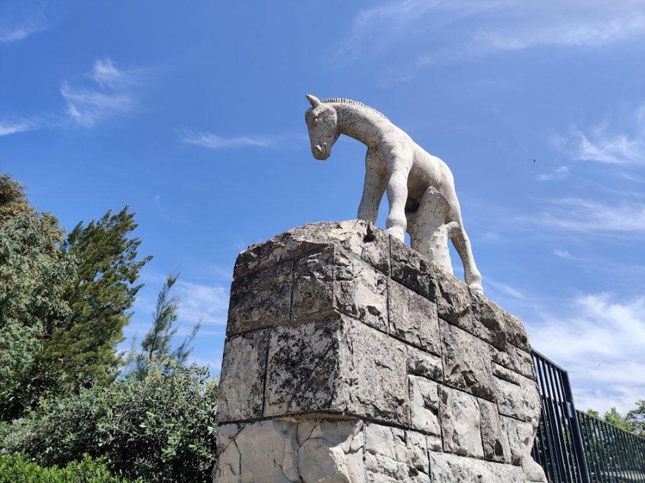 Jardim do Campo Grande - Foto 14