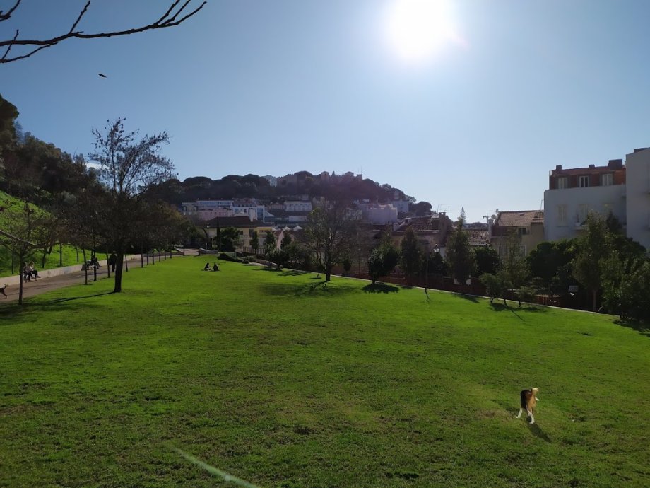 Jardim da Cerca da Graça - Foto 8