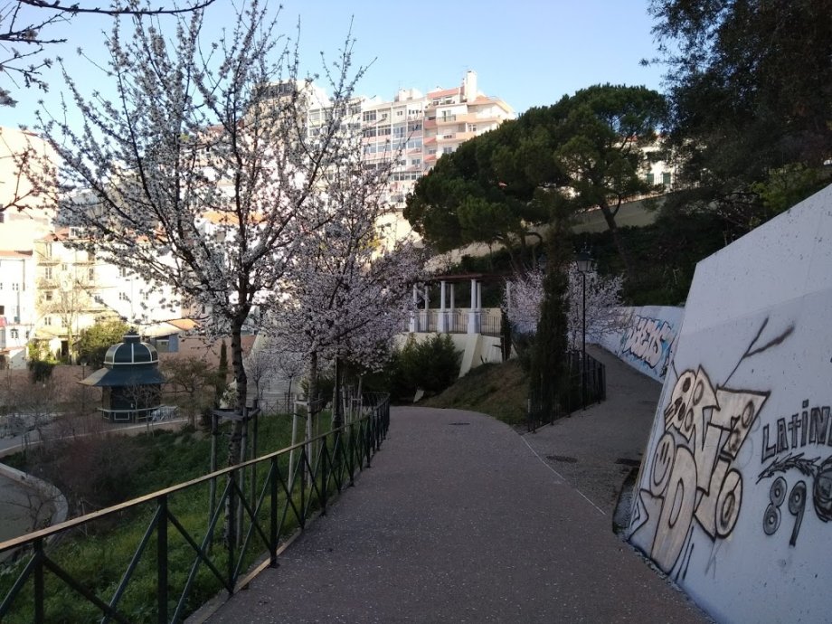 Jardim da Cerca da Graça - Foto 10