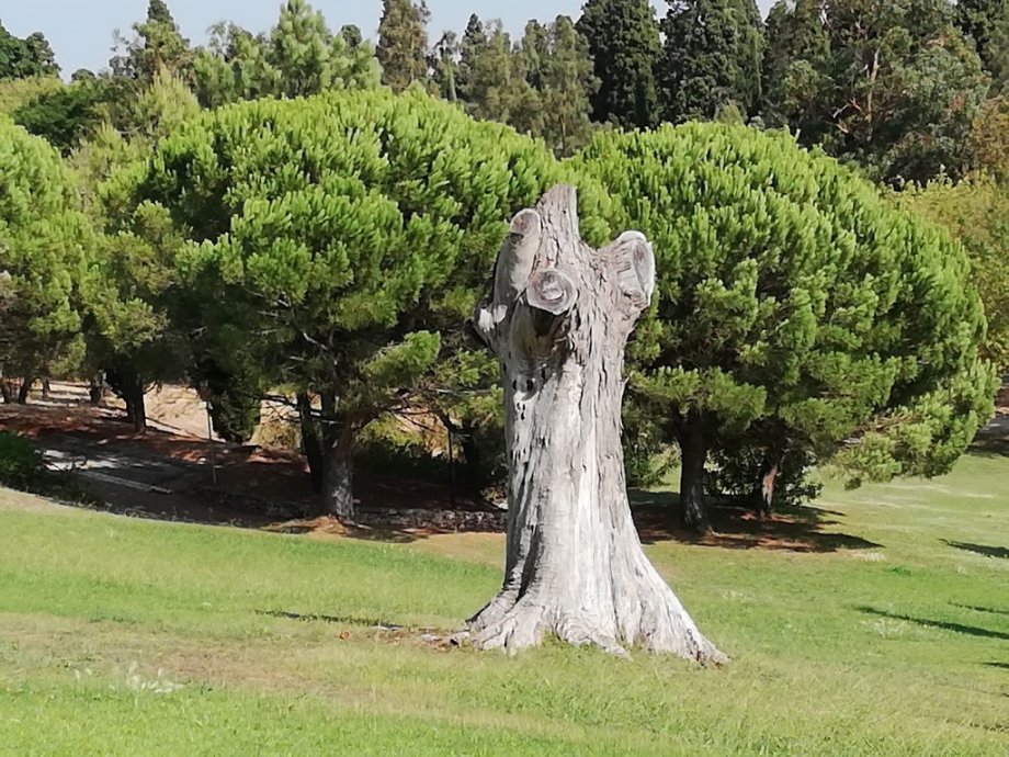 Parque dos Moinhos de Santana - Foto 8