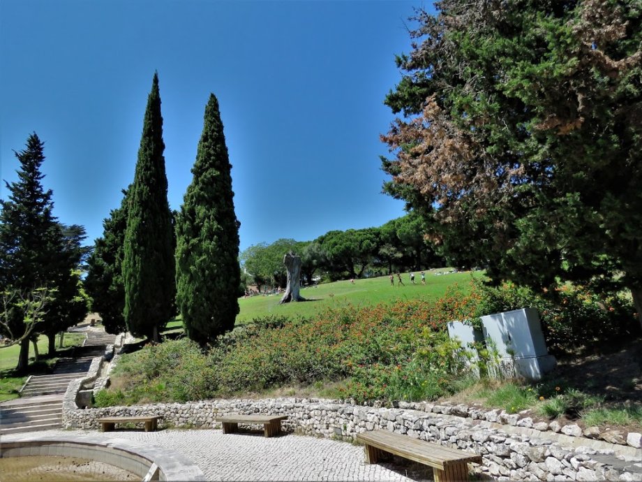 Parque dos Moinhos de Santana - Foto 9