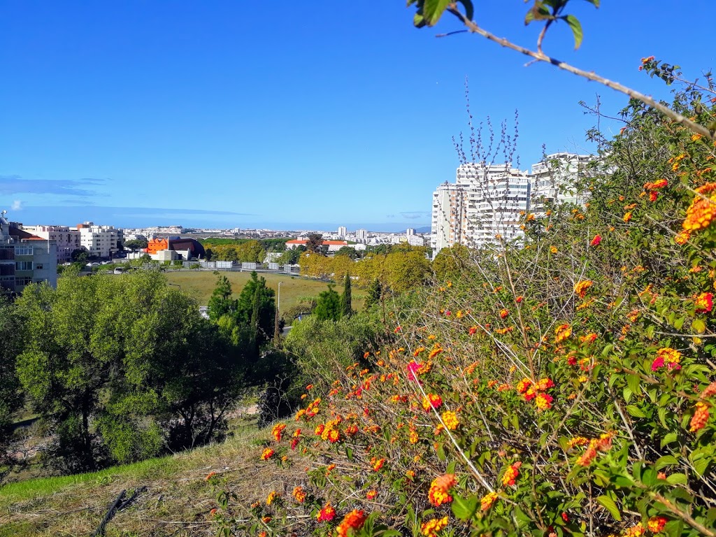 Parque dos Moinhos de Santana - Foto 1