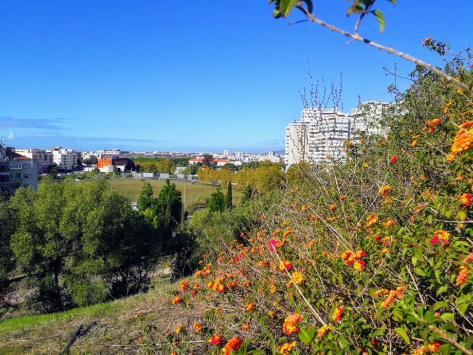 Parque dos Moinhos de Santana - Foto 10