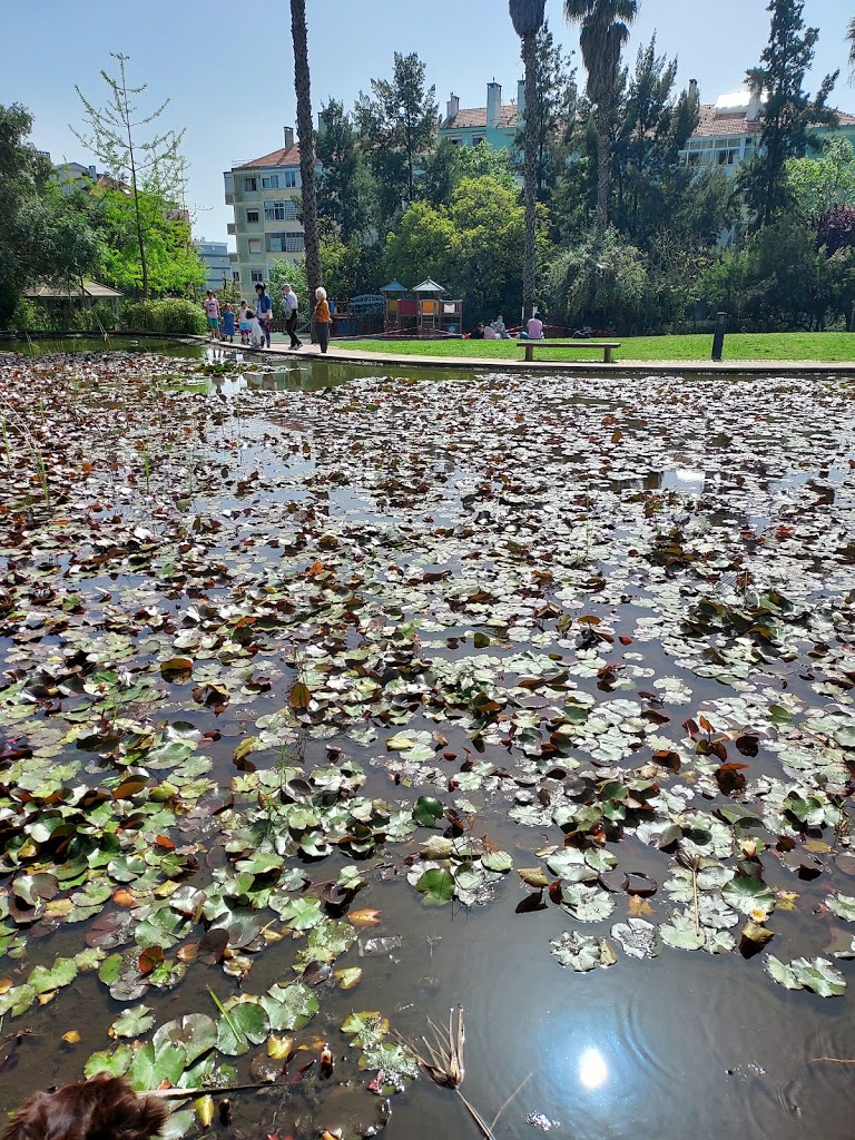 Parque dos Moinhos de Santana - Foto 13
