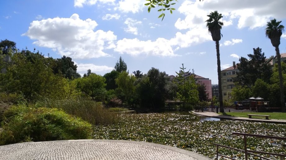 Parque dos Moinhos de Santana - Foto 15