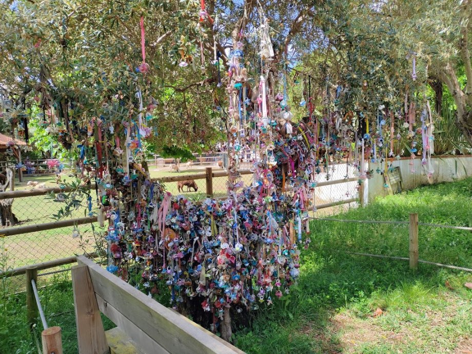 Quinta Pedagógica dos Olivais - Foto 2