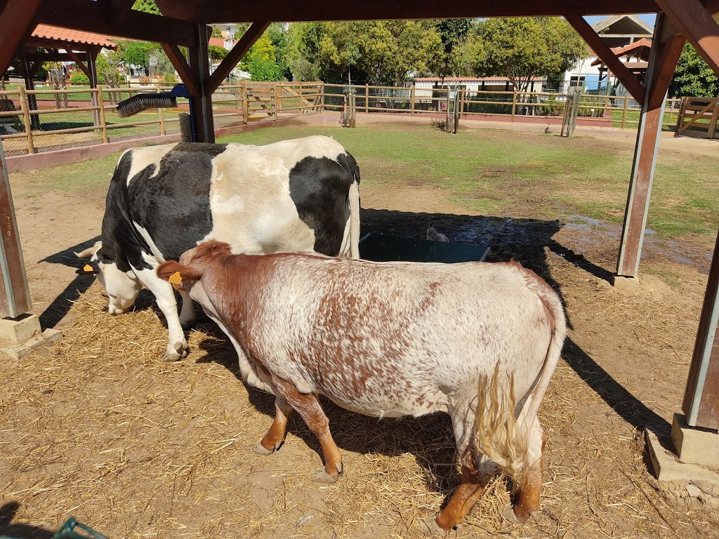 Quinta Pedagógica dos Olivais - Foto 1