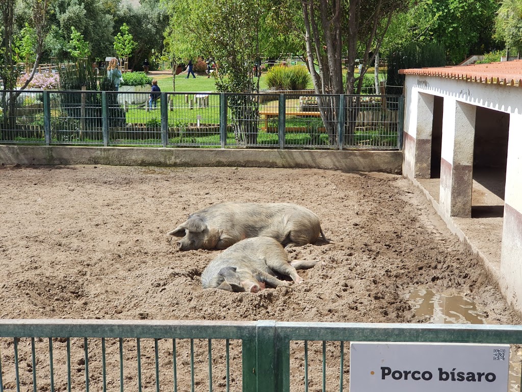 Quinta Pedagógica dos Olivais - Foto 1