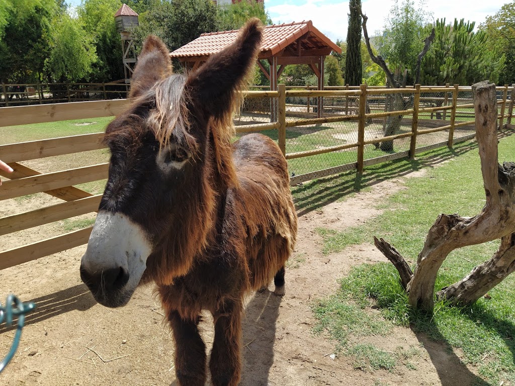 Quinta Pedagógica dos Olivais - Foto 1