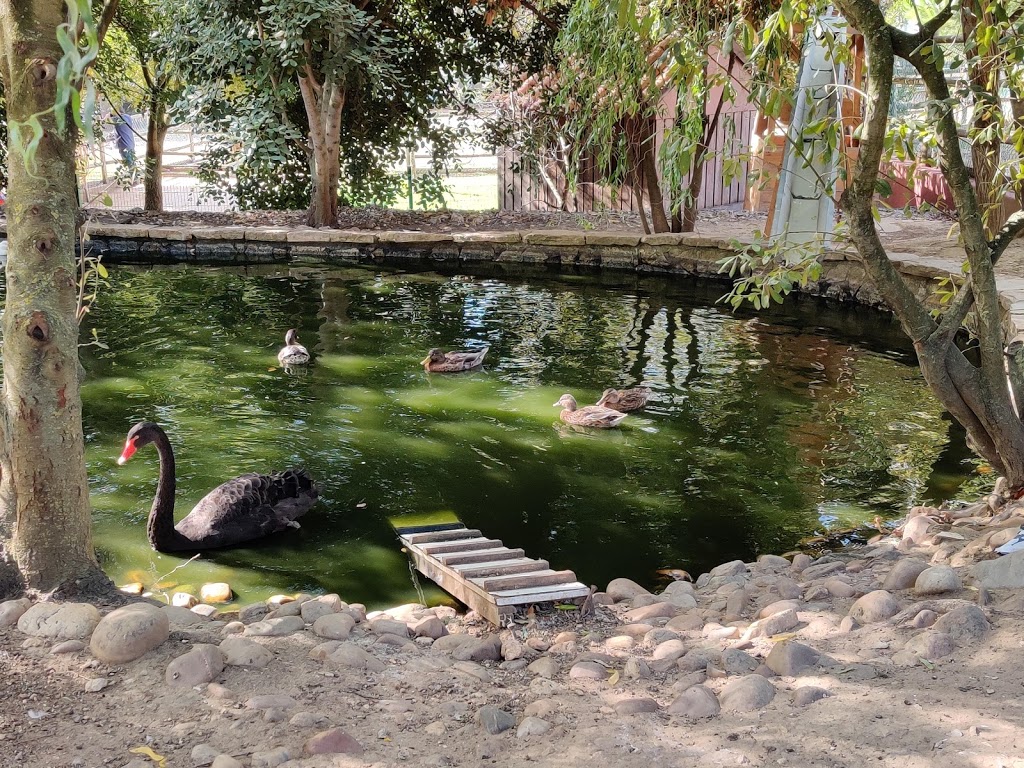 Quinta Pedagógica dos Olivais - Foto 1