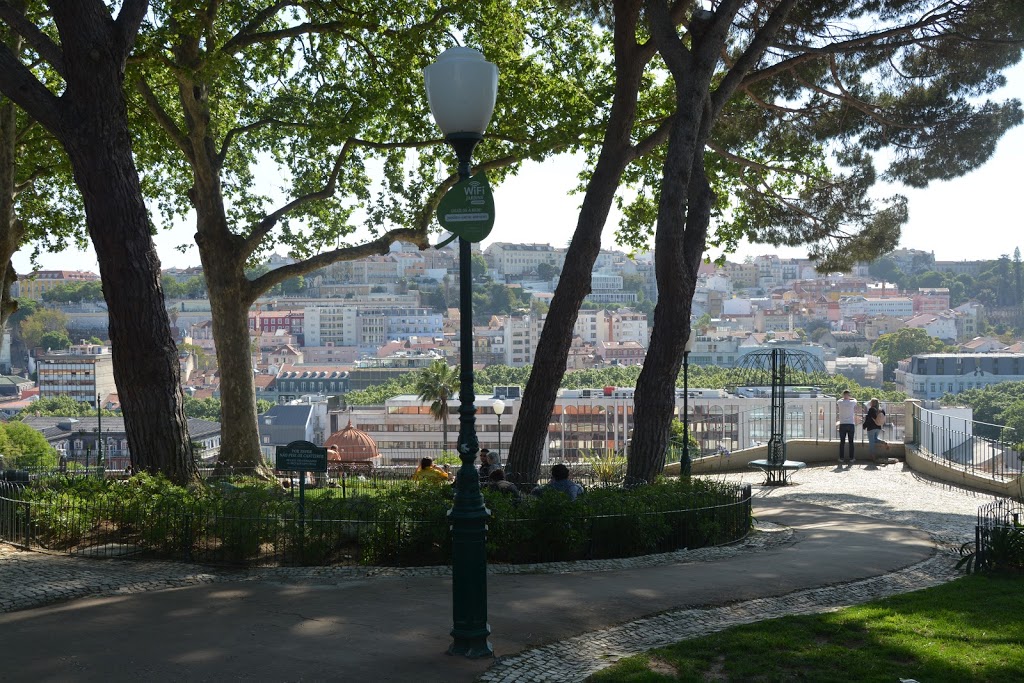 Jardim do Torel - Foto 1