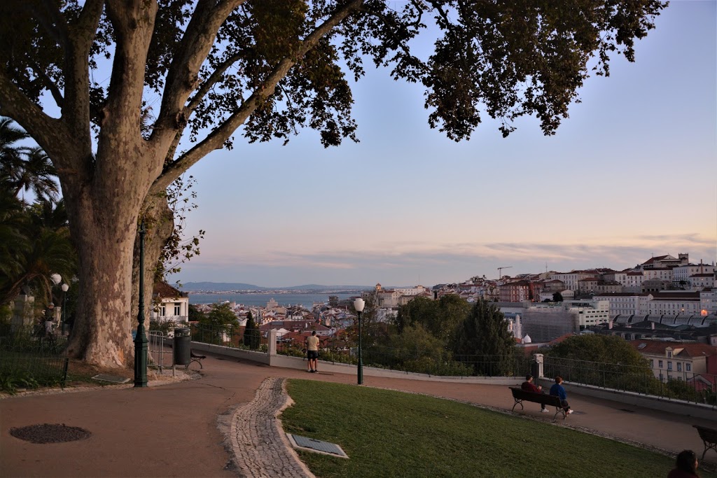 Jardim do Torel - Foto 1