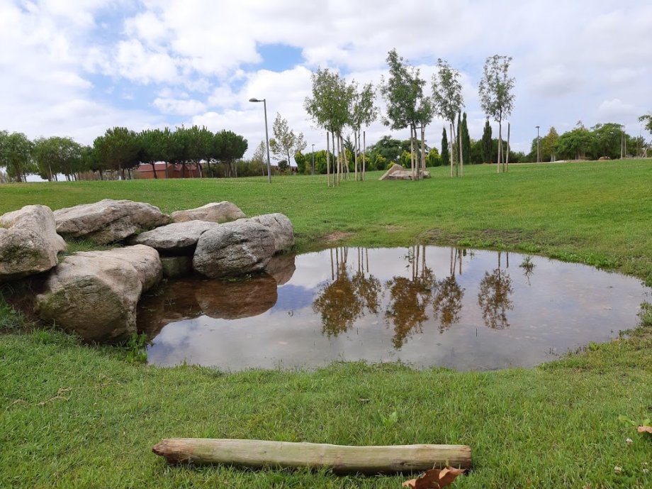 Parque Urbano da Póvoa de Santa Iria - Foto 8