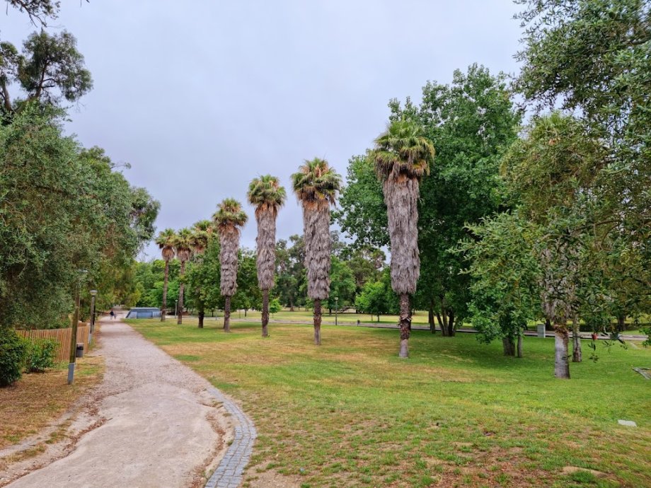 Park Quintas das Conchas e dos Lilases - Foto 12