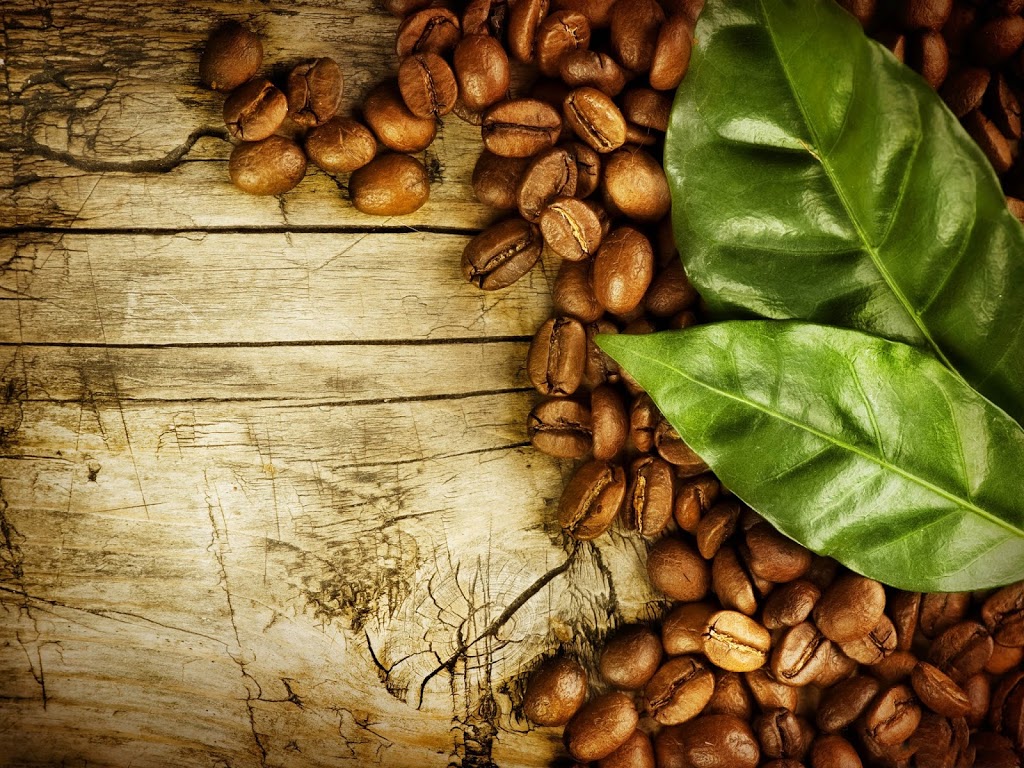 Blue Lotus Cafe - Foto 1