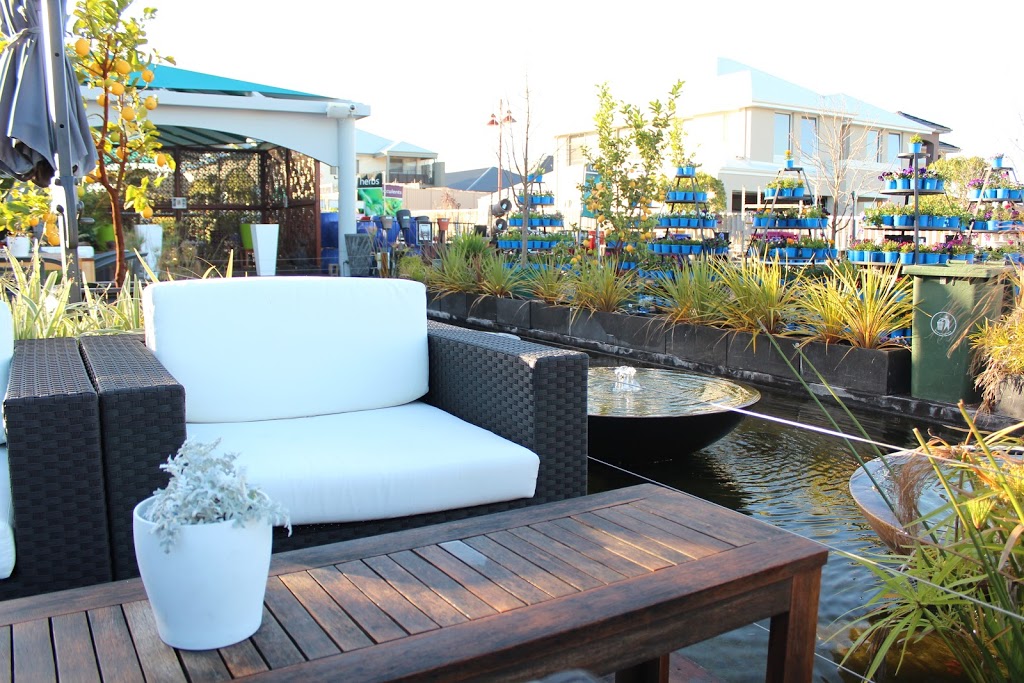 Blue Lotus Cafe - Foto 1