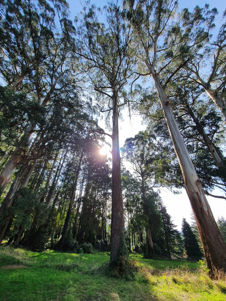 Olinda Playspace - Foto 1