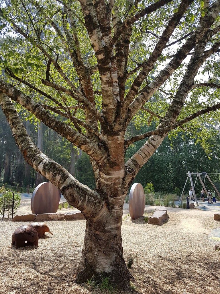 Olinda Playspace - Foto 1