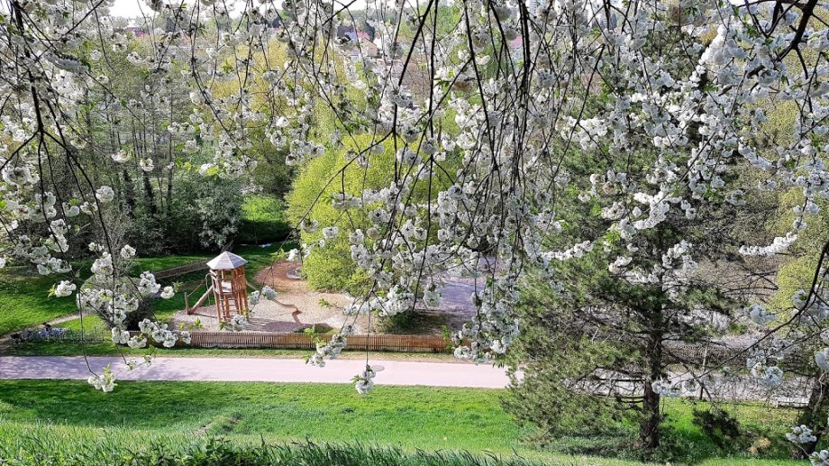 Spielplatz Sommerhofenpark - Foto 8