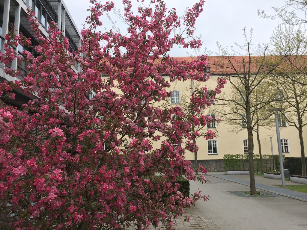 Pasing Rathausplatz - Kinderspielplatz - Foto 1