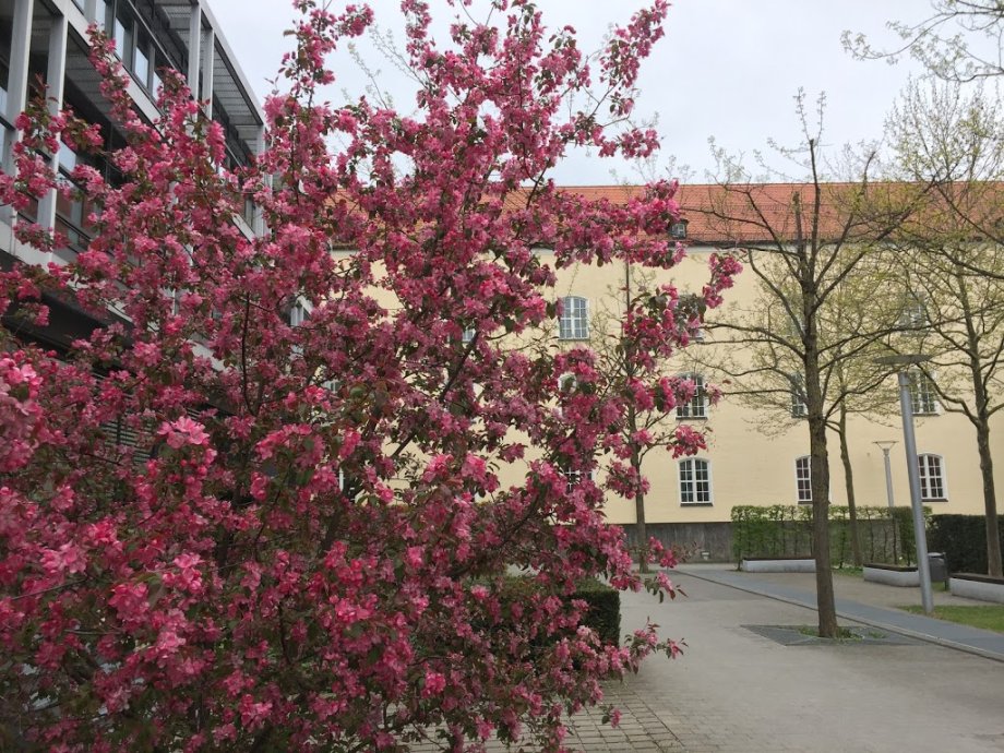 Pasing Rathausplatz - Kinderspielplatz - Foto 3