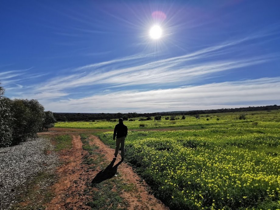Cobbler Creek Recreation Park - Foto 4