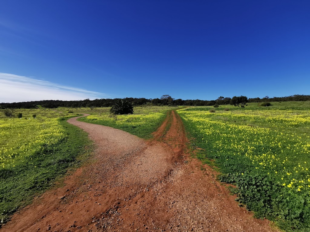 Cobbler Creek Recreation Park - Foto 1