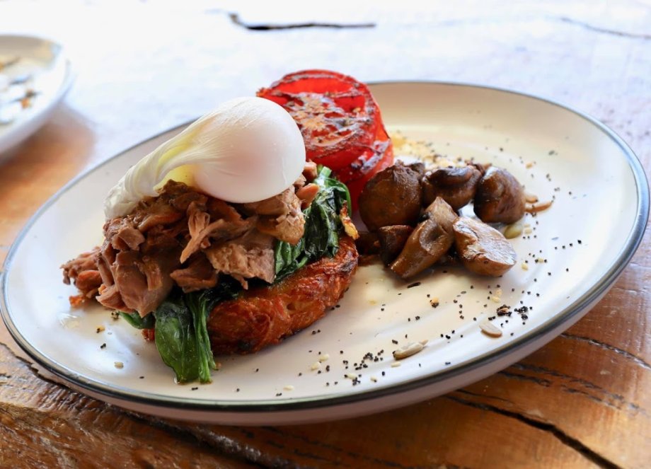 Surfing Lizard Cafe - Foto 8