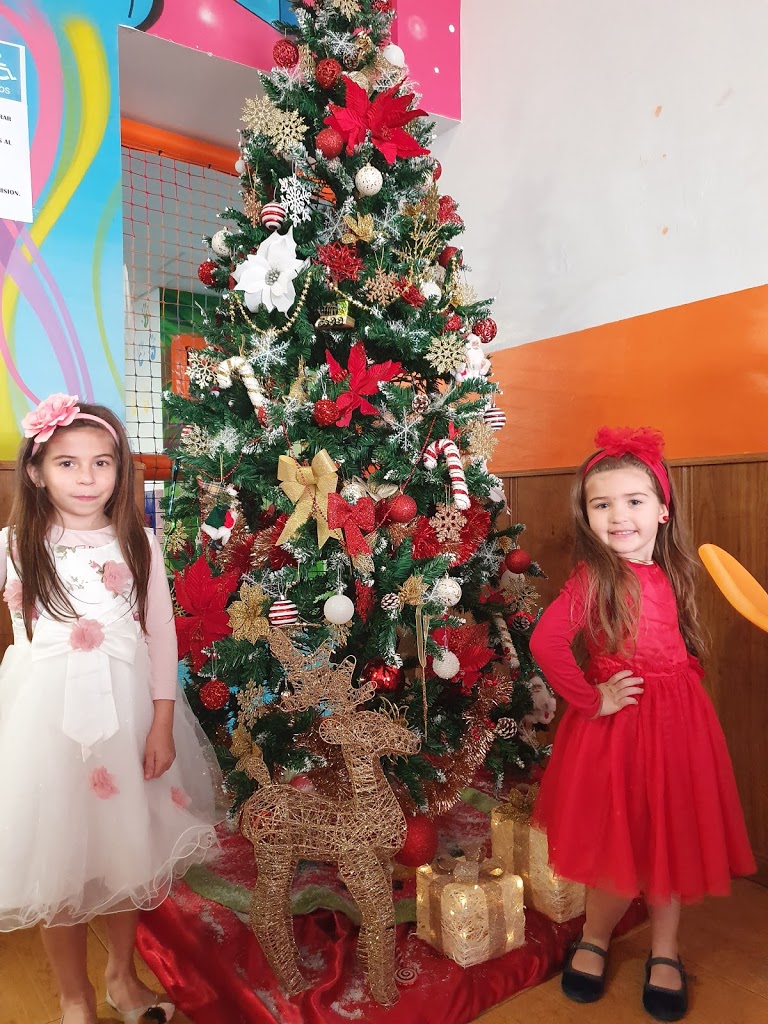 Divine Park - Parque de Bolas - San Pedro Alcántara - Foto 7