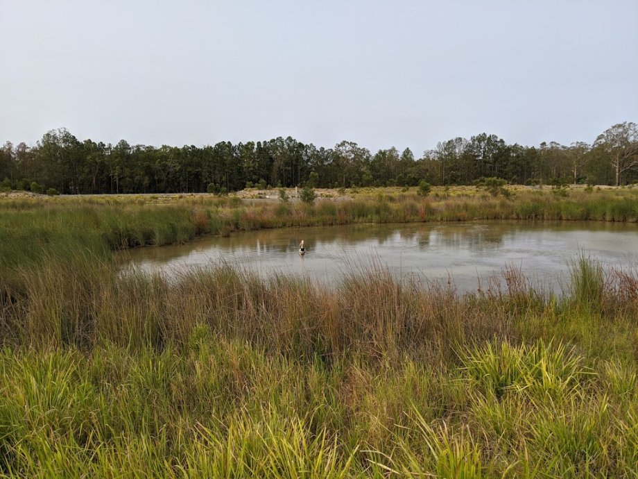 Buxton Park - Foto 2