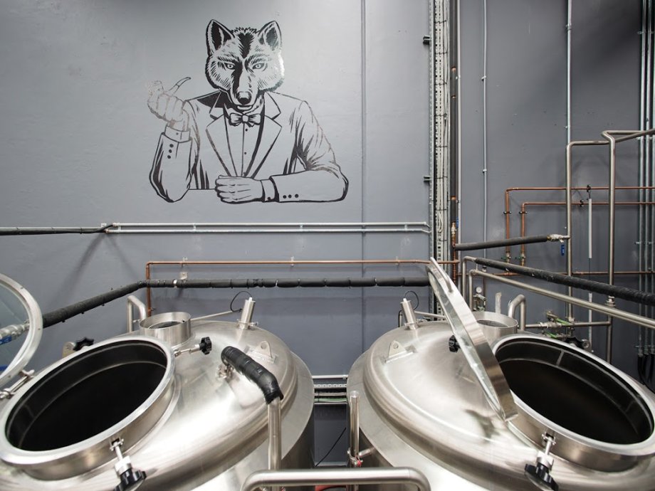 Wolf of the Willows - Foto 8