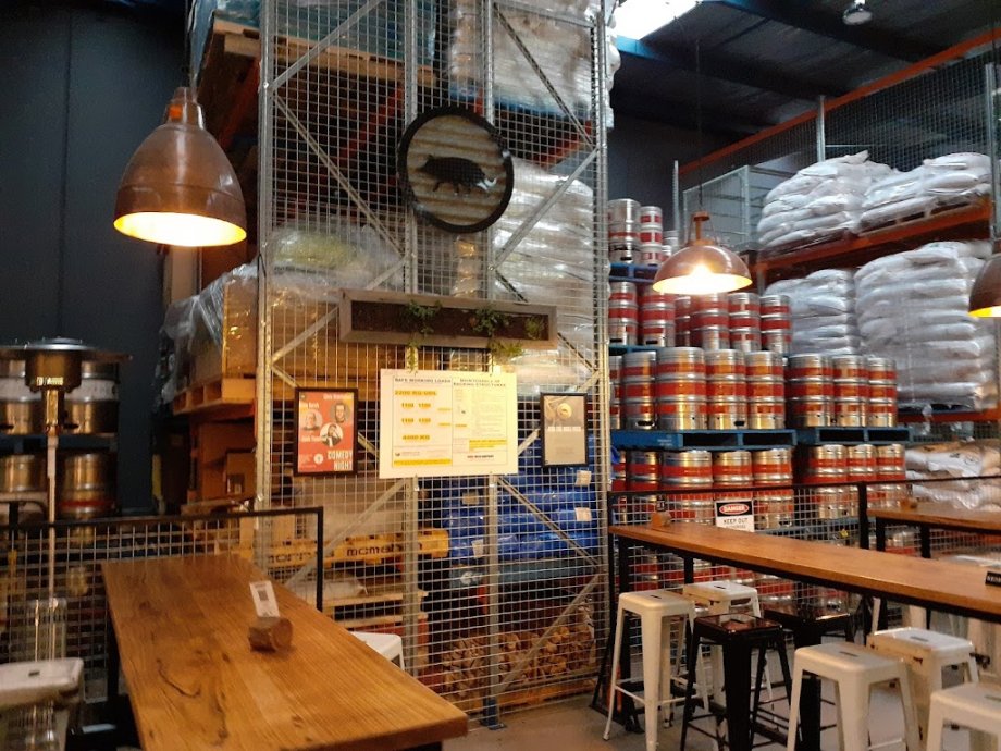 Wolf of the Willows - Foto 13