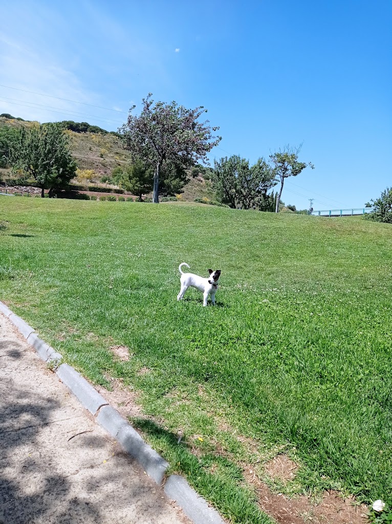 Parque Atalaya de Gandía - Foto 6