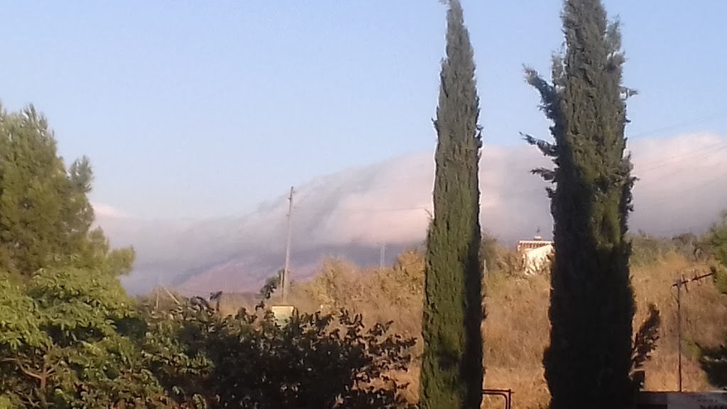 Parque Atalaya de Gandía - Foto 1