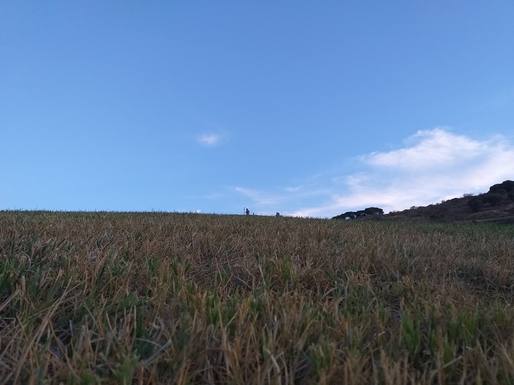 Parque Atalaya de Gandía - Foto 1