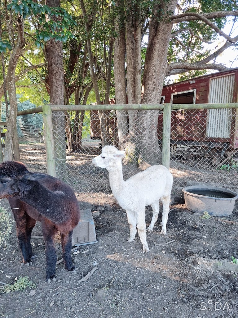 Historic rivermill - Foto 8