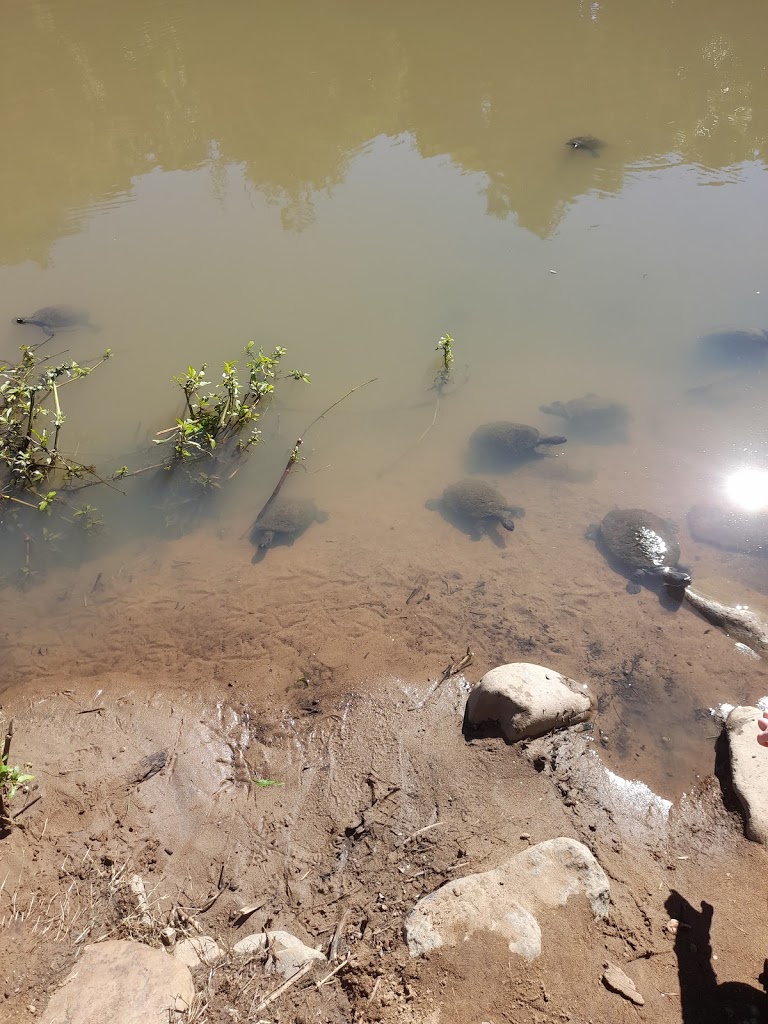 Historic rivermill - Foto 9