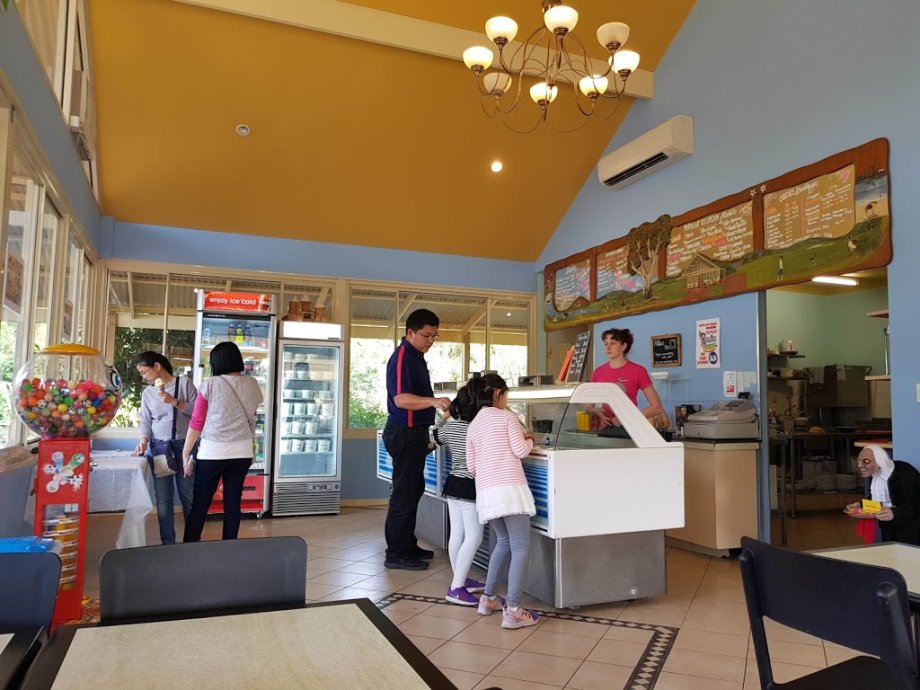 Oggies Ice Cream Cafe - Foto 6