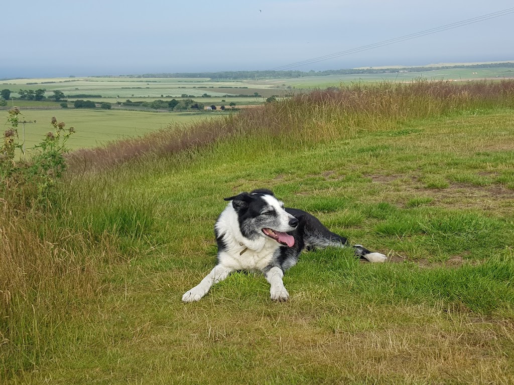 Whitekirk Hill - Foto 1