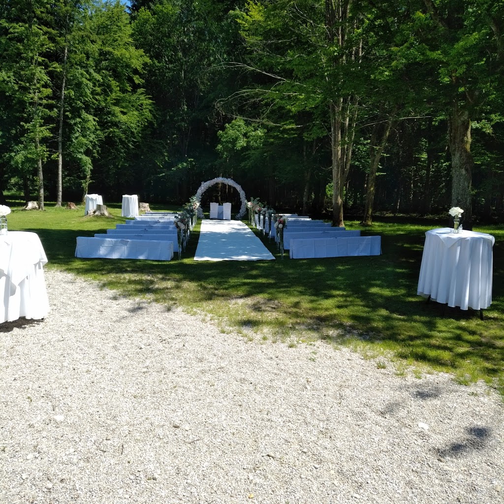 Waldhaus zur alten Tram - Foto 1