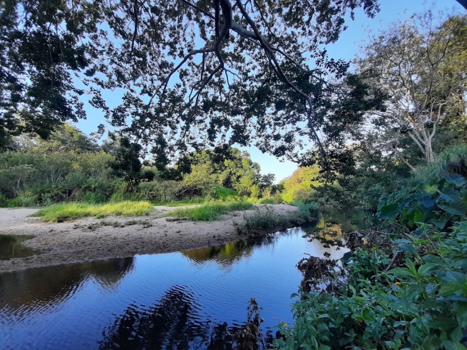 Grinstead Park - Foto 5