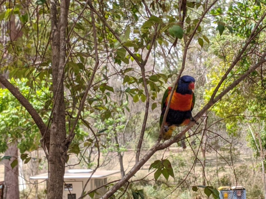 Grinstead Park - Foto 9