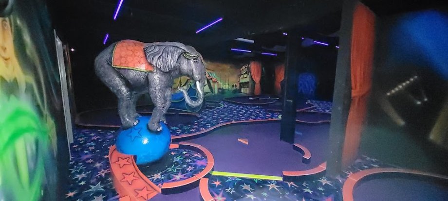 Hi Voltage Entertainment - Foto 12