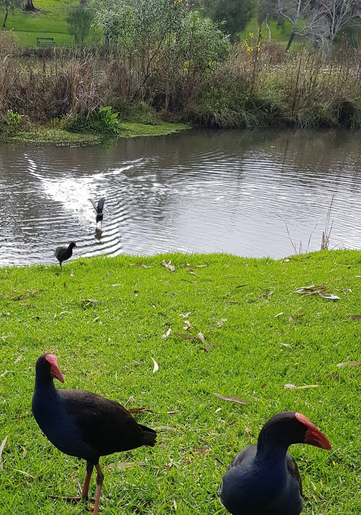 Bonython Park Playspace - Foto 4