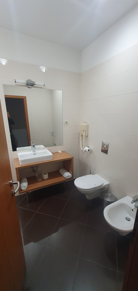 Hotel Phoenix Velika Gorica - Foto 3