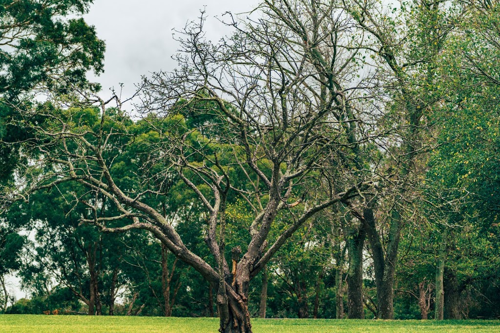 Jells Park Playground - Foto 1