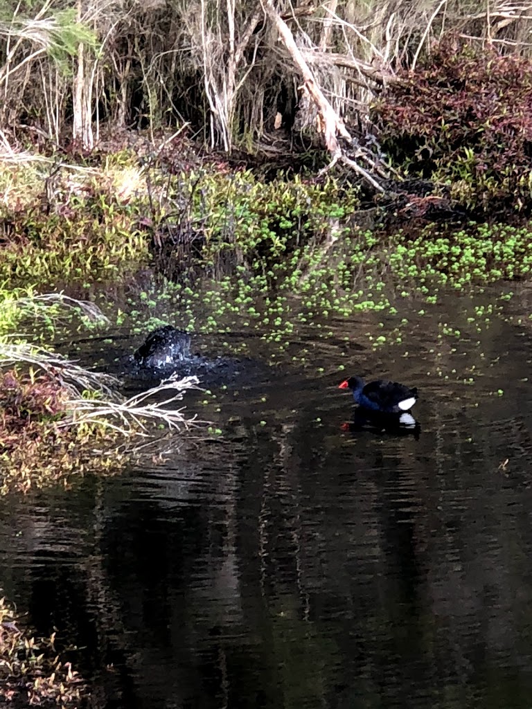 Jells Park Playground - Foto 1